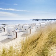 Sylt Strand Sträucher