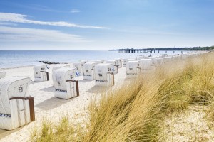 Sylt Strand Sträucher