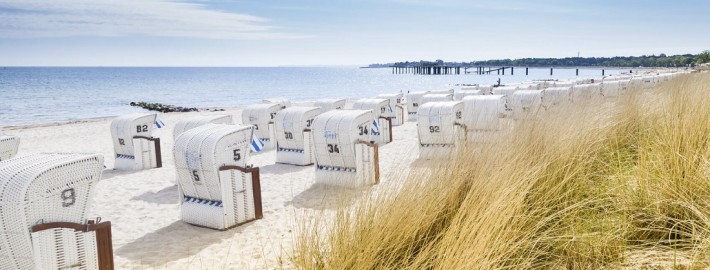 Sylt Strand Sträucher